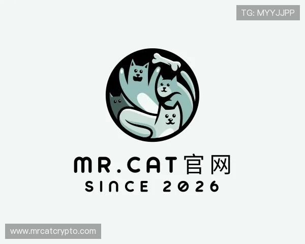 关于Mr.Cat官网